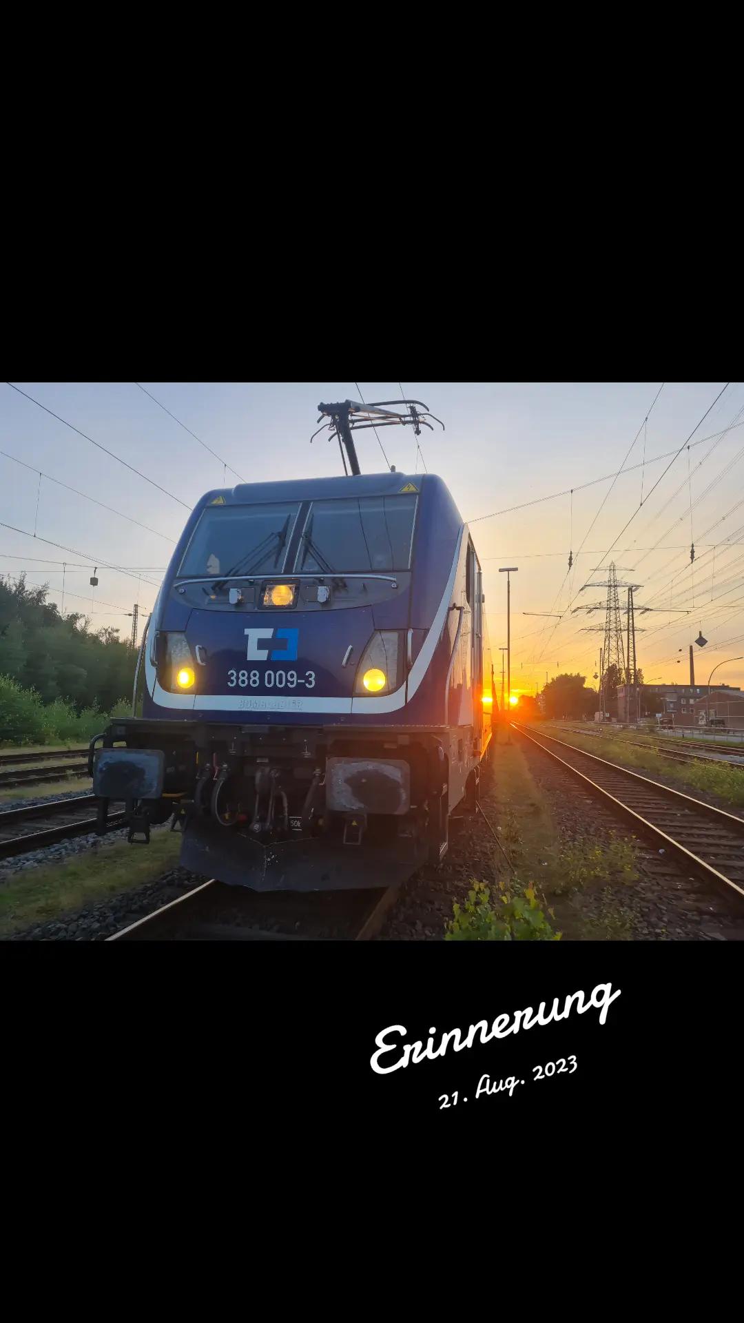 @SandiK78