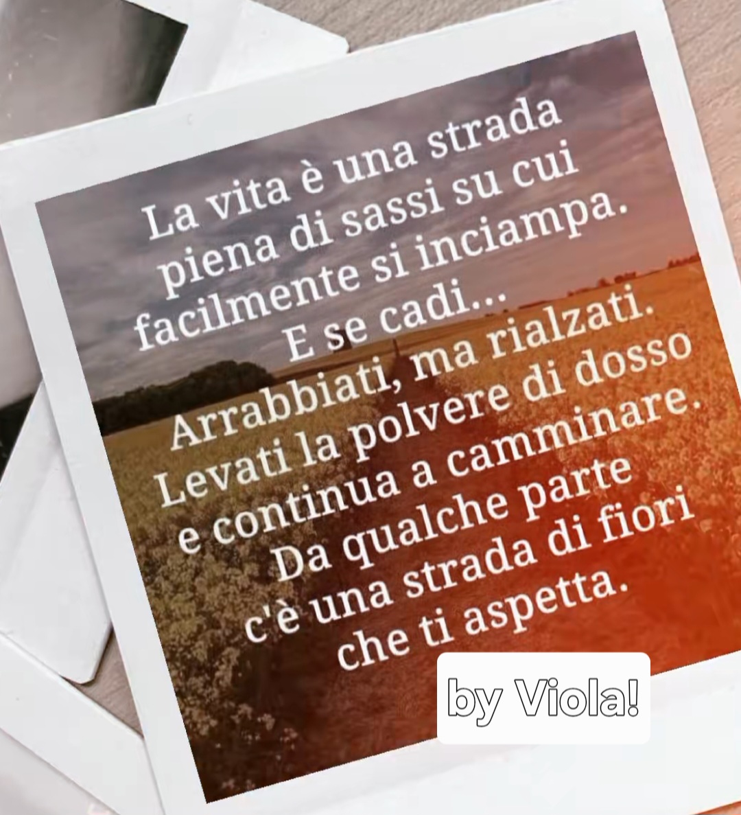 @Viola 8080