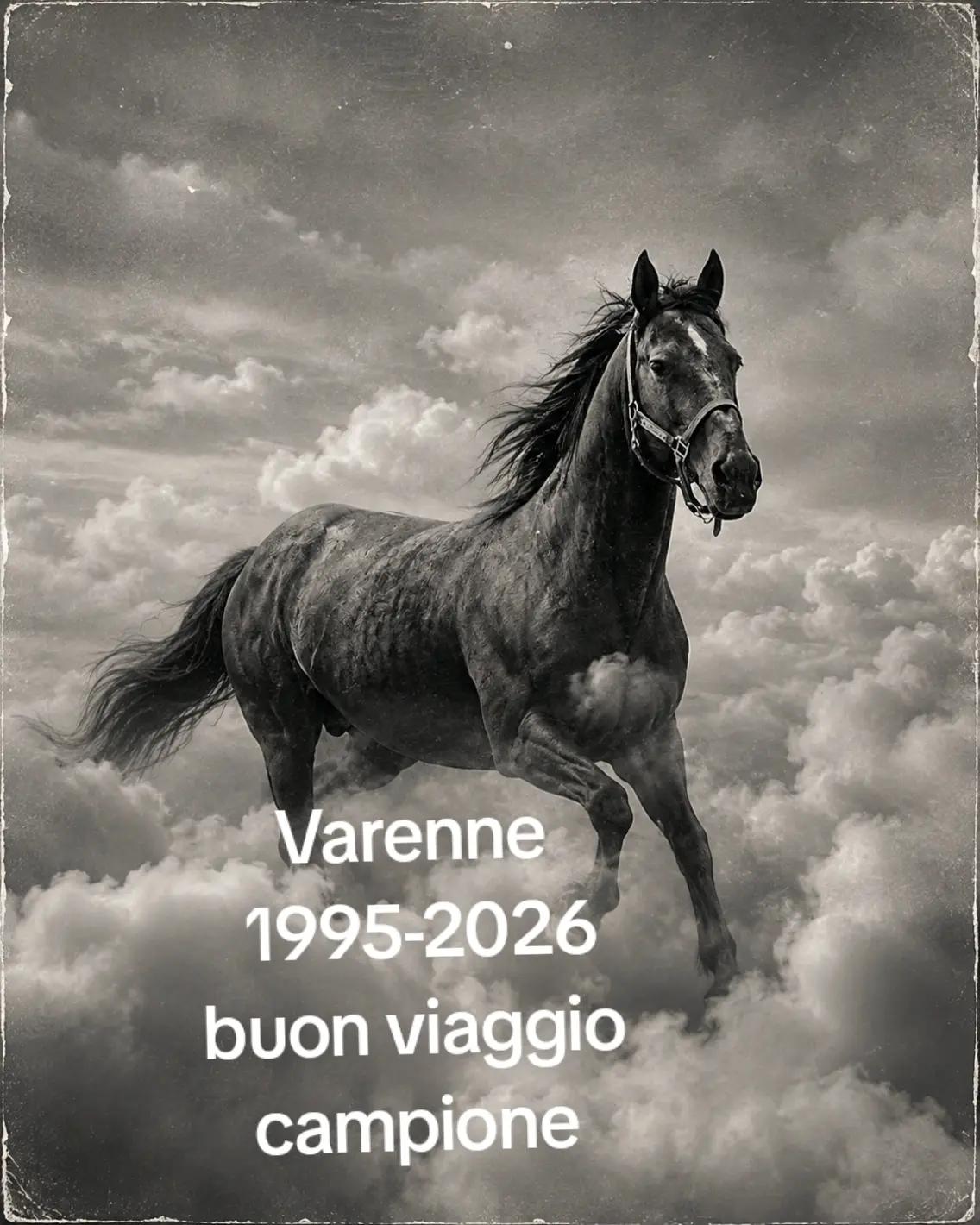 @Amo il lupo tutti gli animali