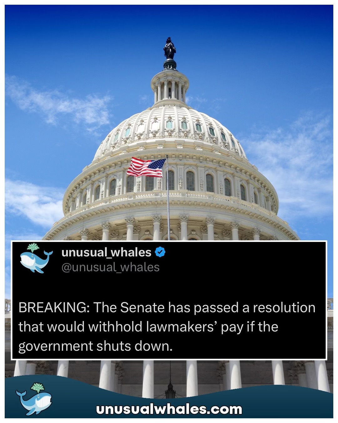 @Unusual Whales