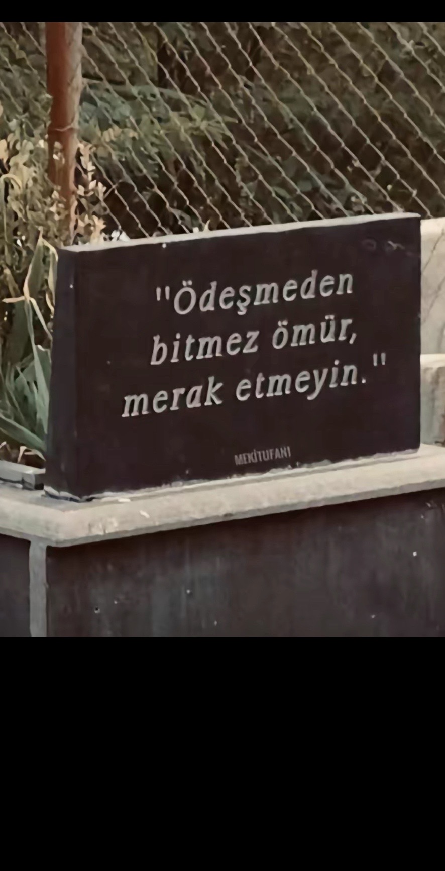 @yusufar