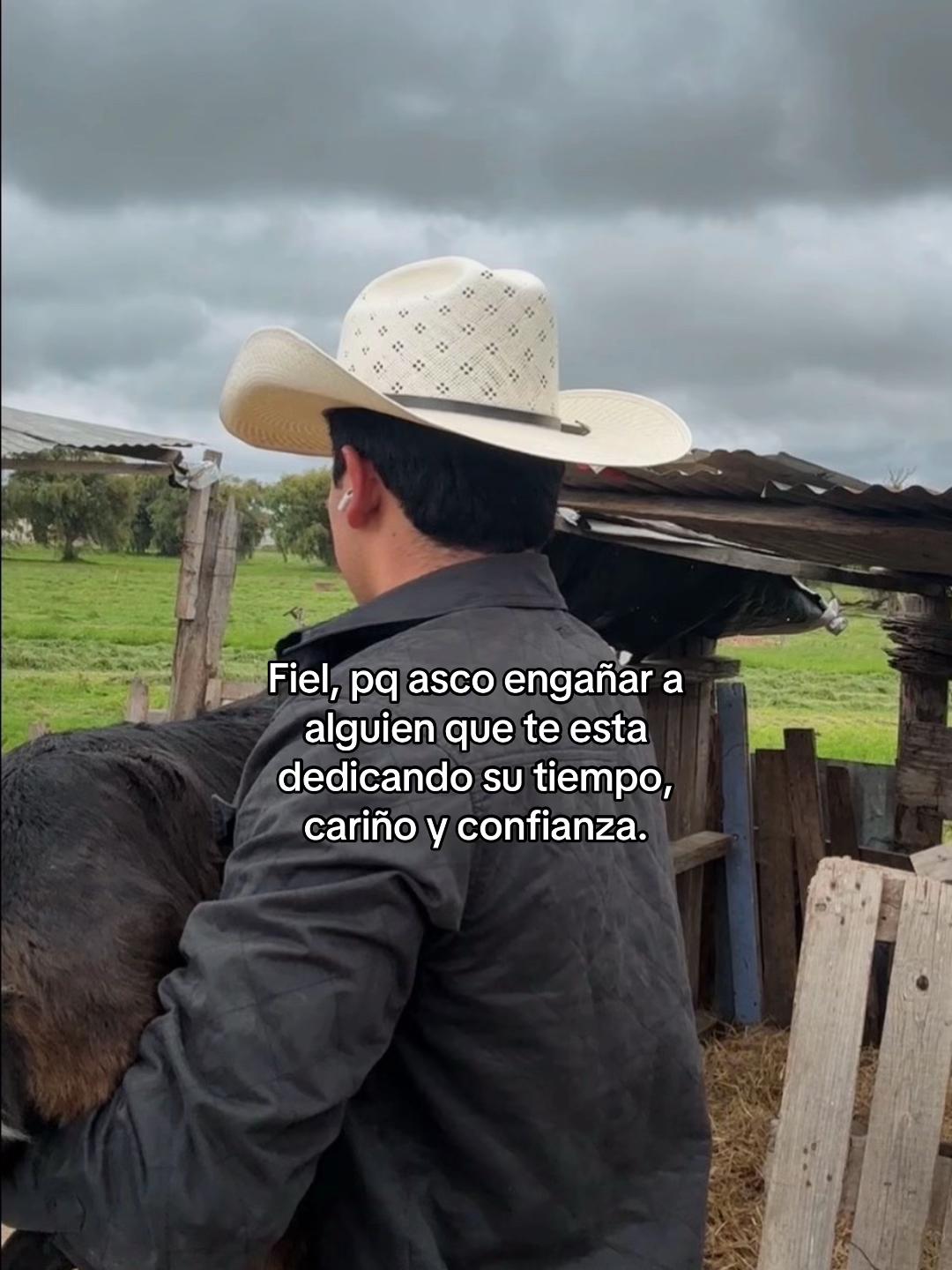 @ASIEL TREJO