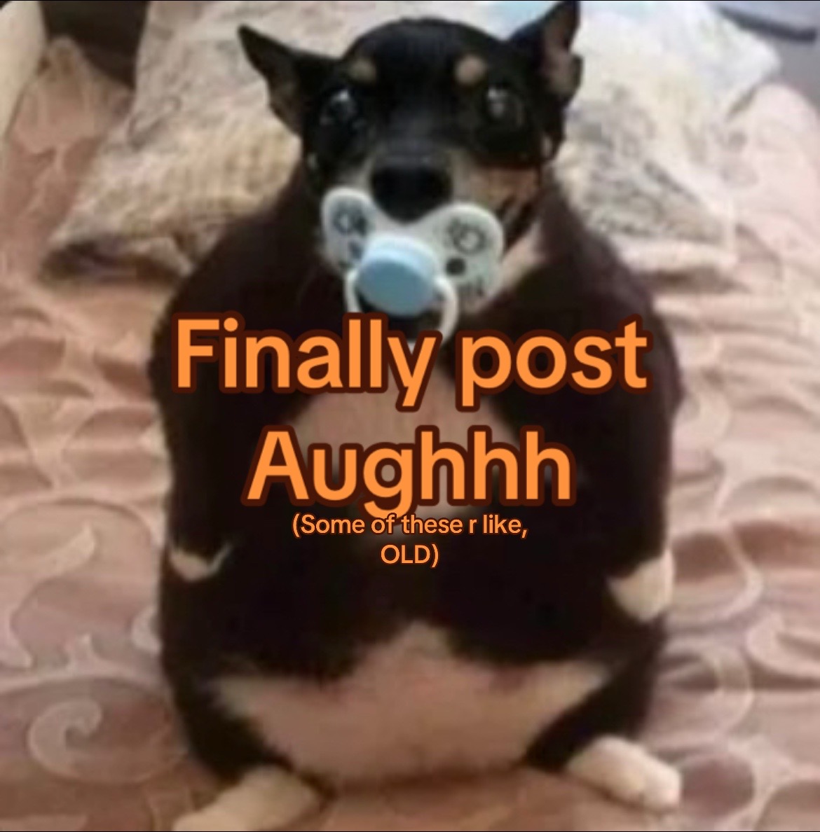 @SkizzMchizz
