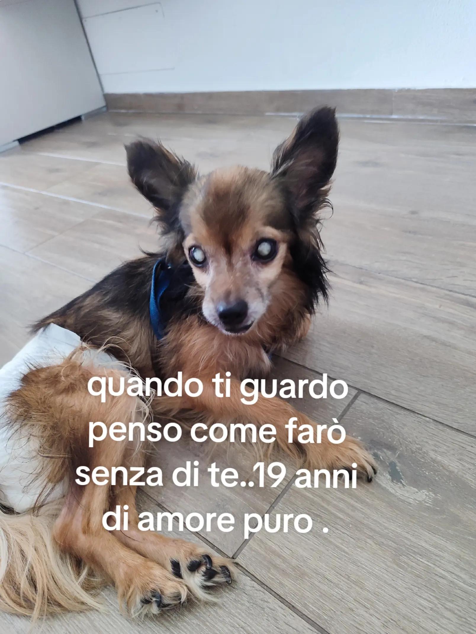 @Viviana Di Fonzo