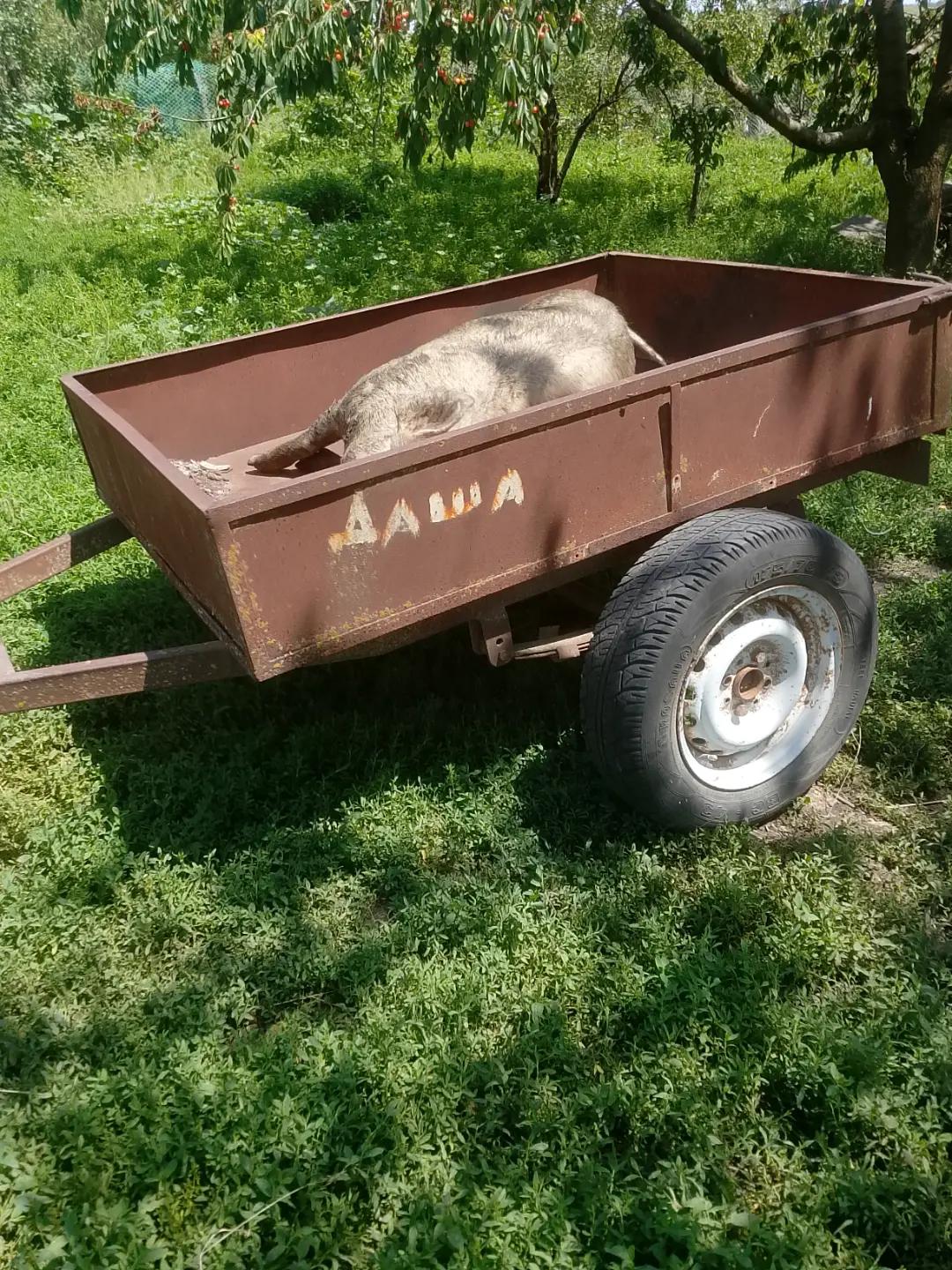 @катятя