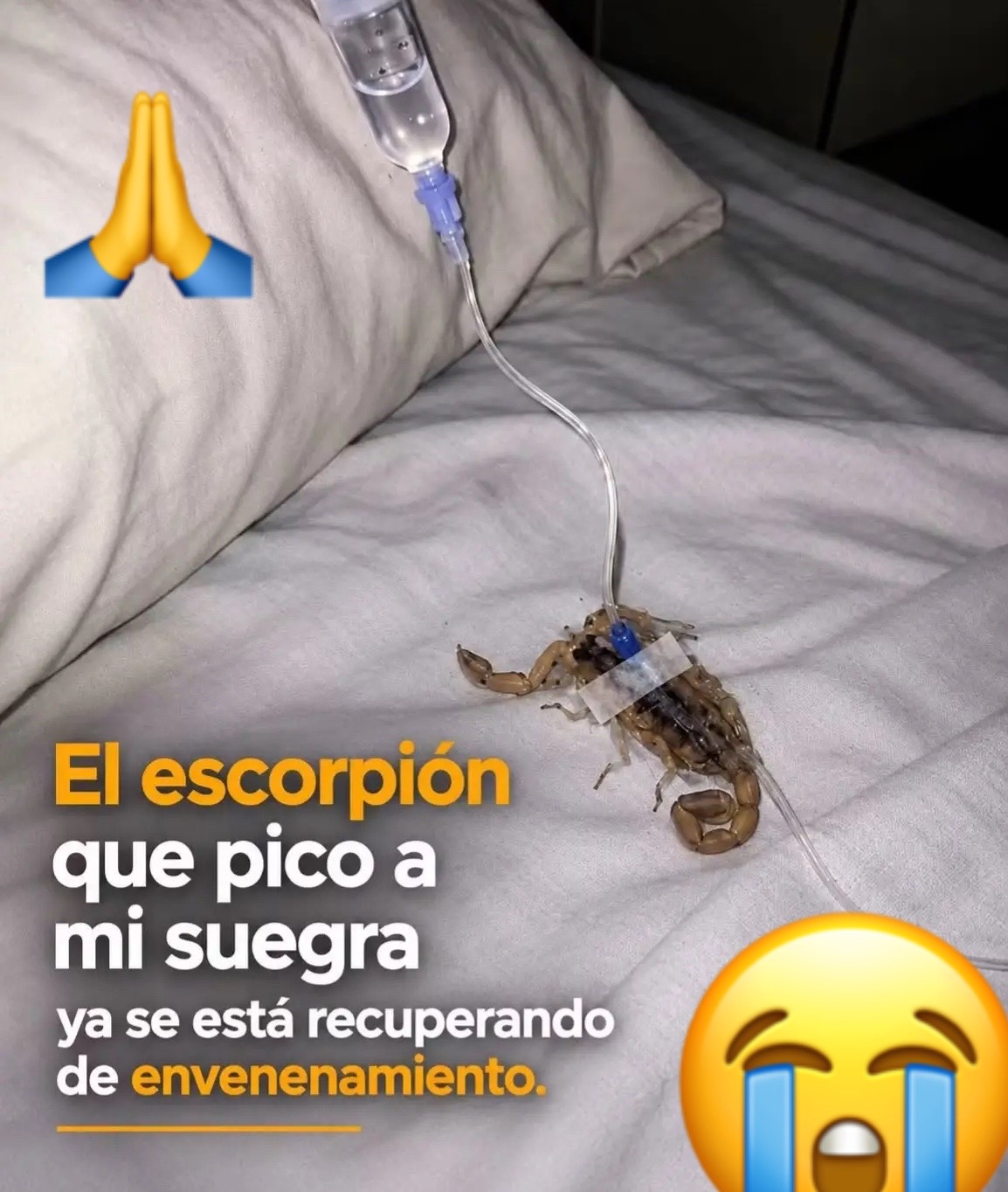 @noticiero562
