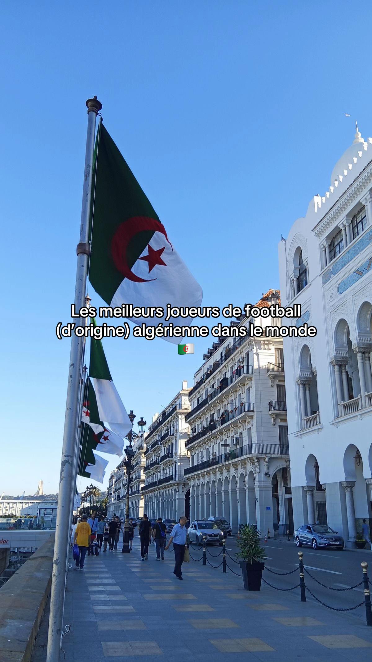 @🇩🇿🇵🇸