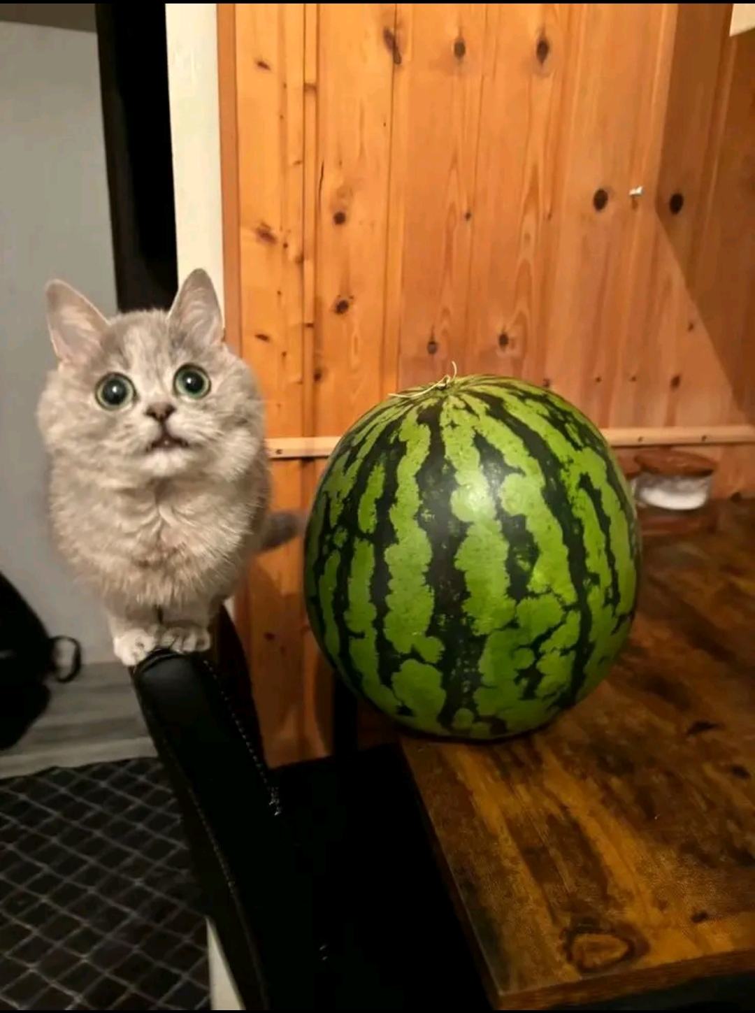 @дестинио