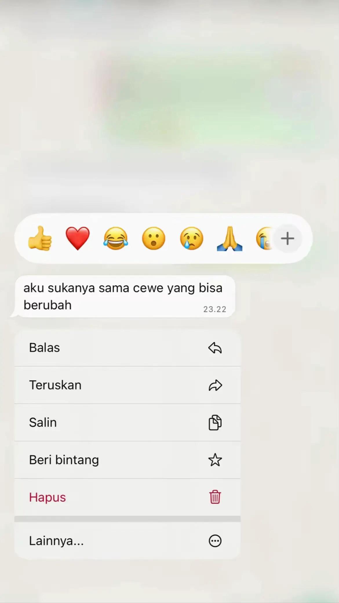 @Sindi Santika