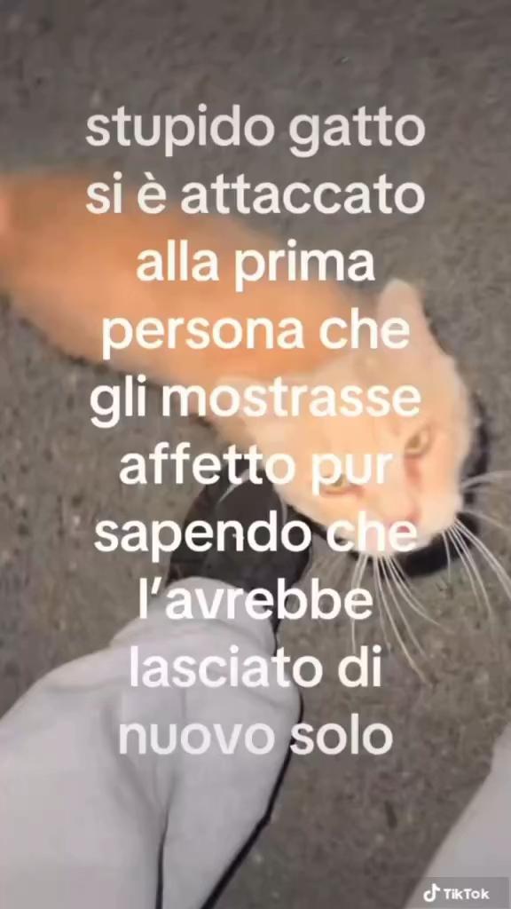 @melli❤️🩹