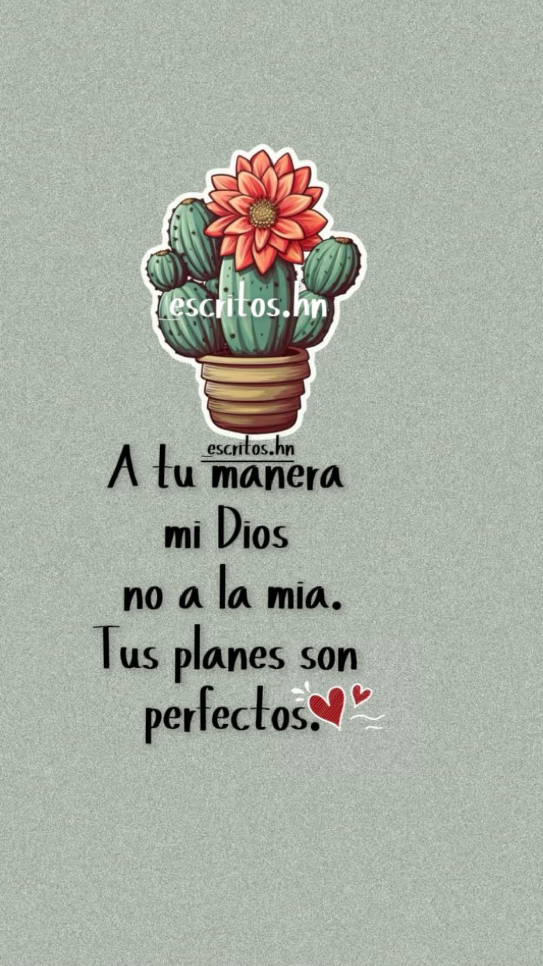 @_𝓮𝓼𝓬𝓻𝓲𝓽𝓸𝓼.𝓱𝓷 ♥