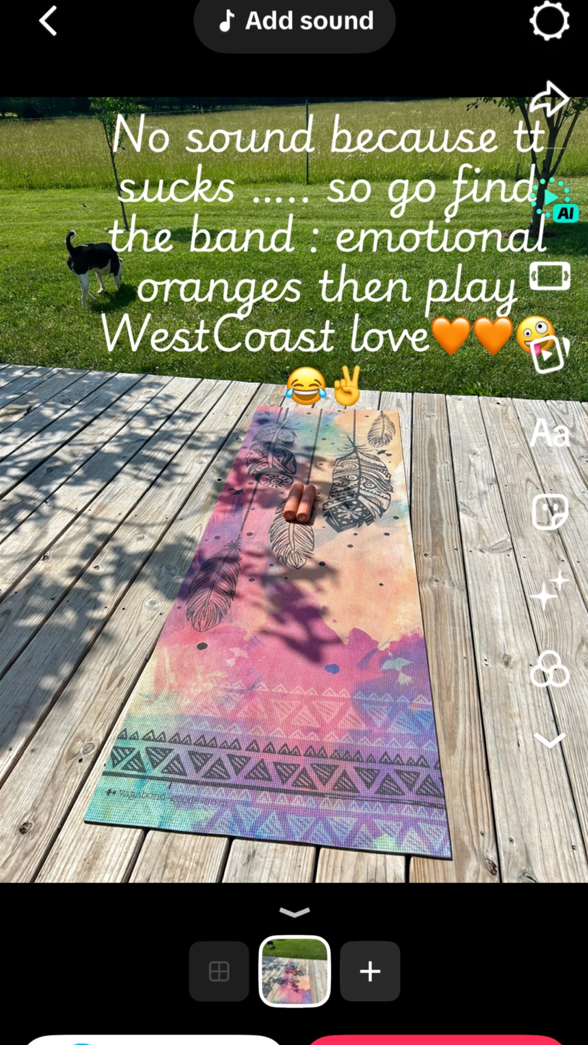 @Psychedelicfarm