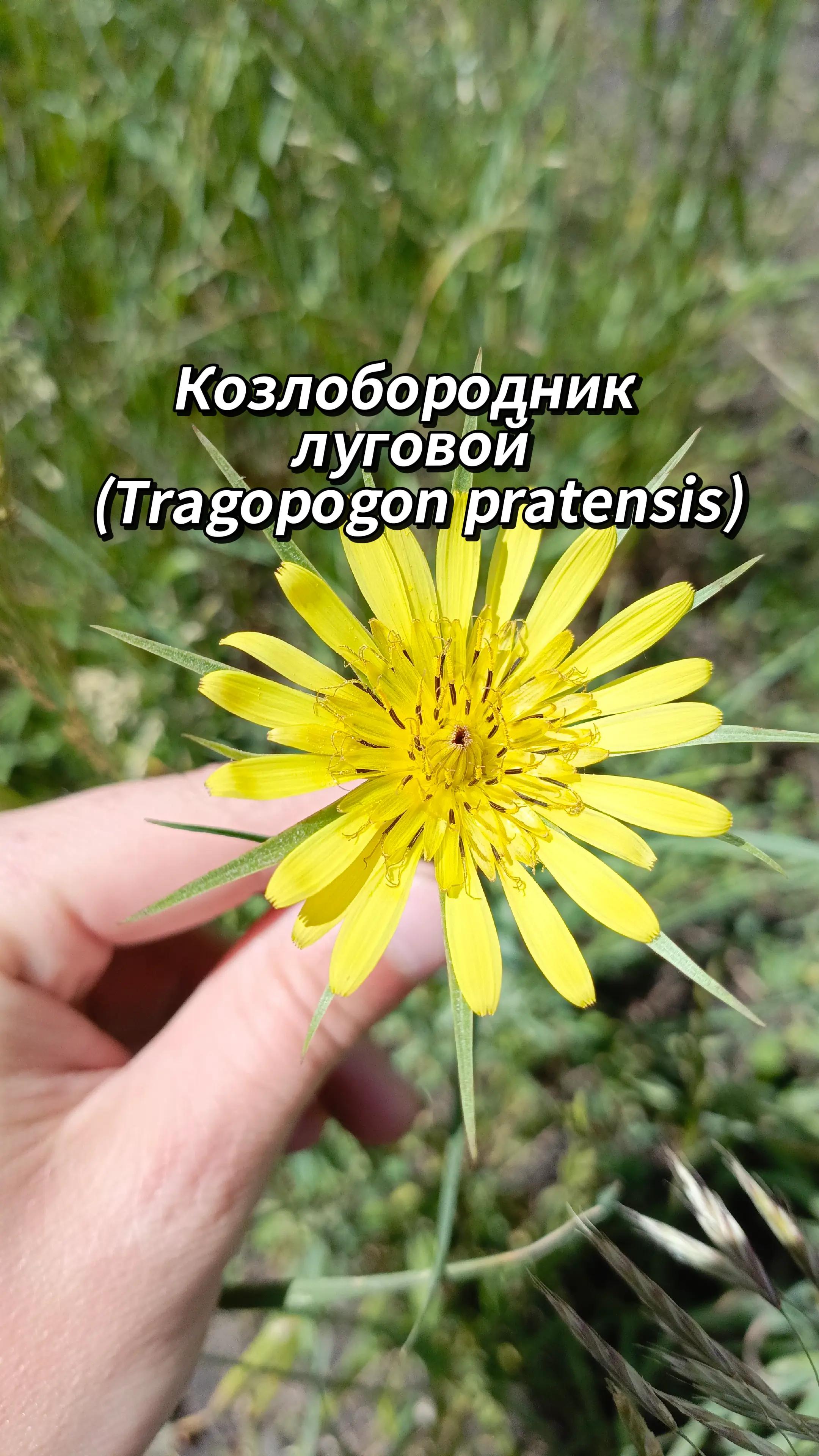 @🍃Зелёный шифр🍃