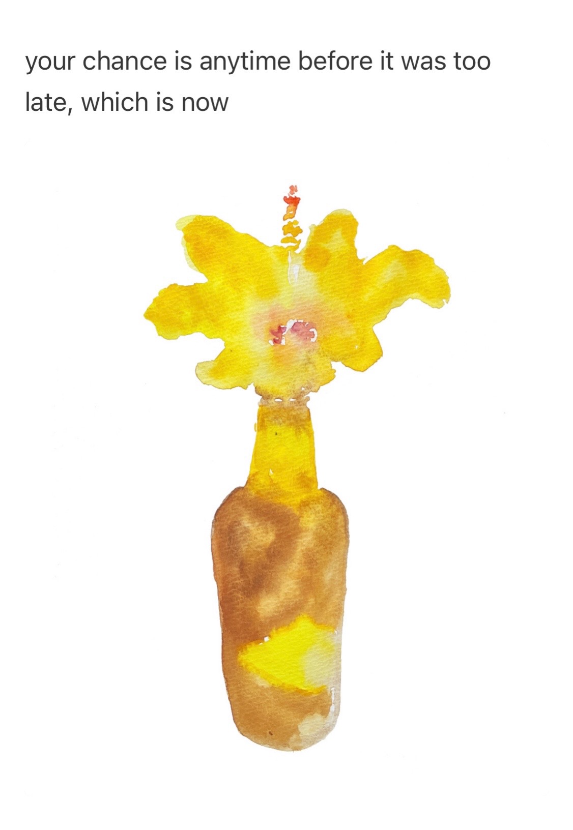 @Tims daily flowers