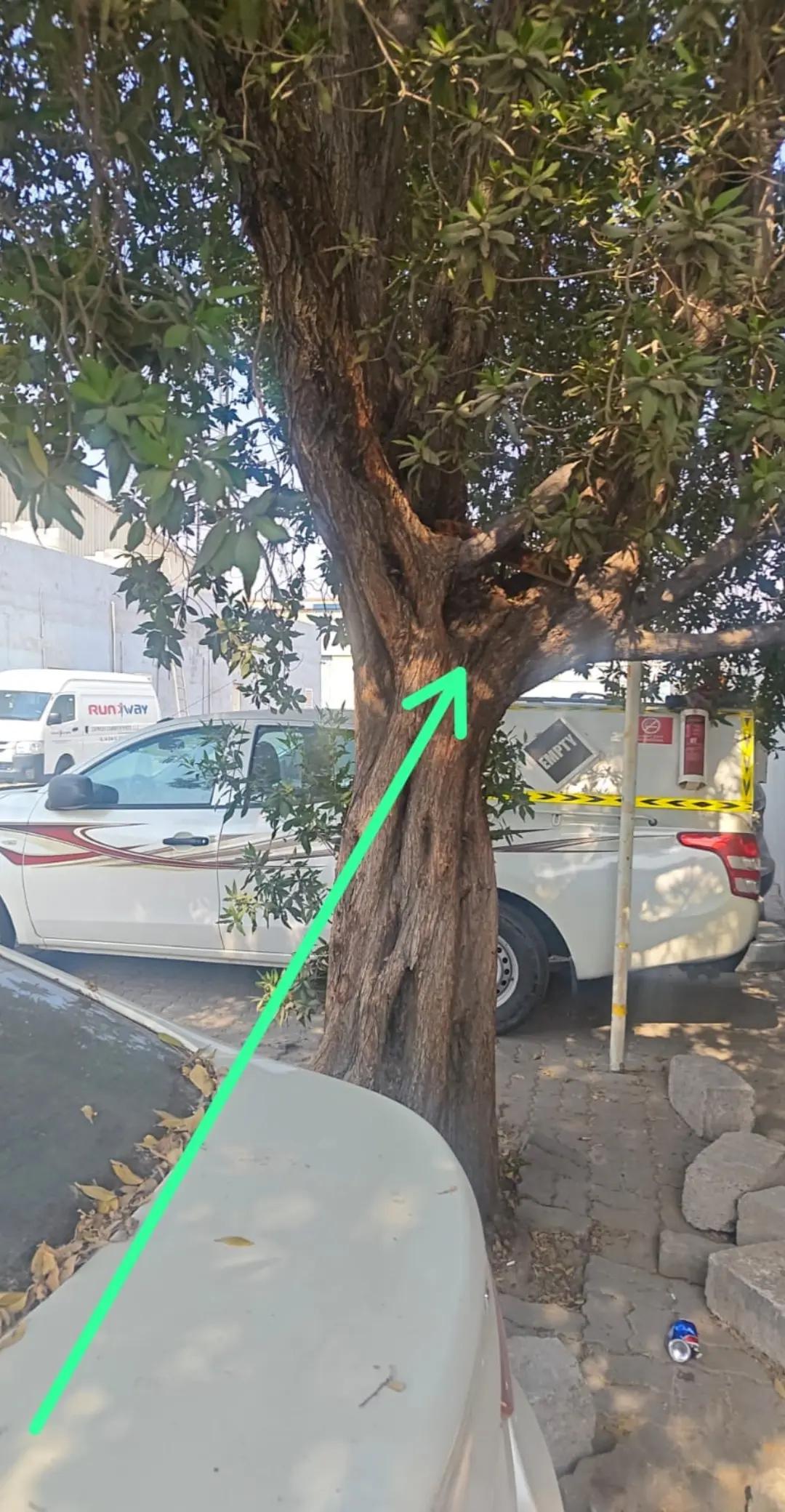 @محمد قاسم