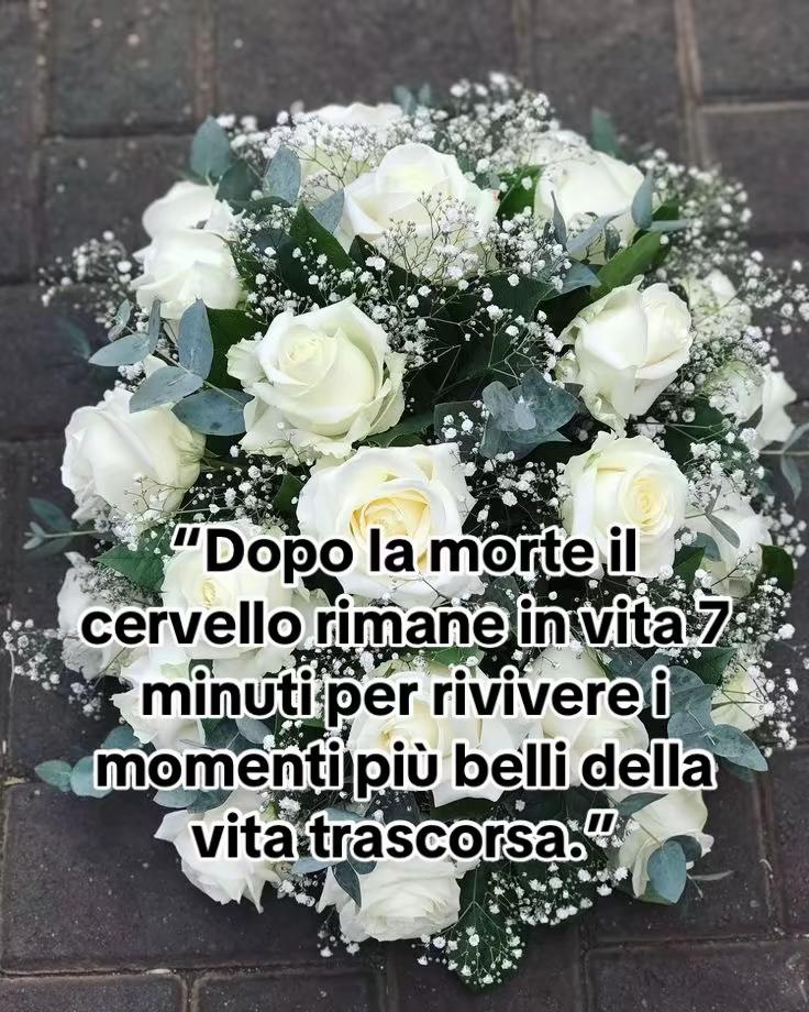 @Rosaria🦋💎🌻👑🌹