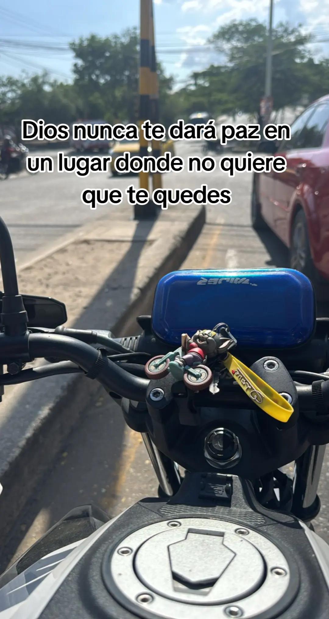 @Jose santos