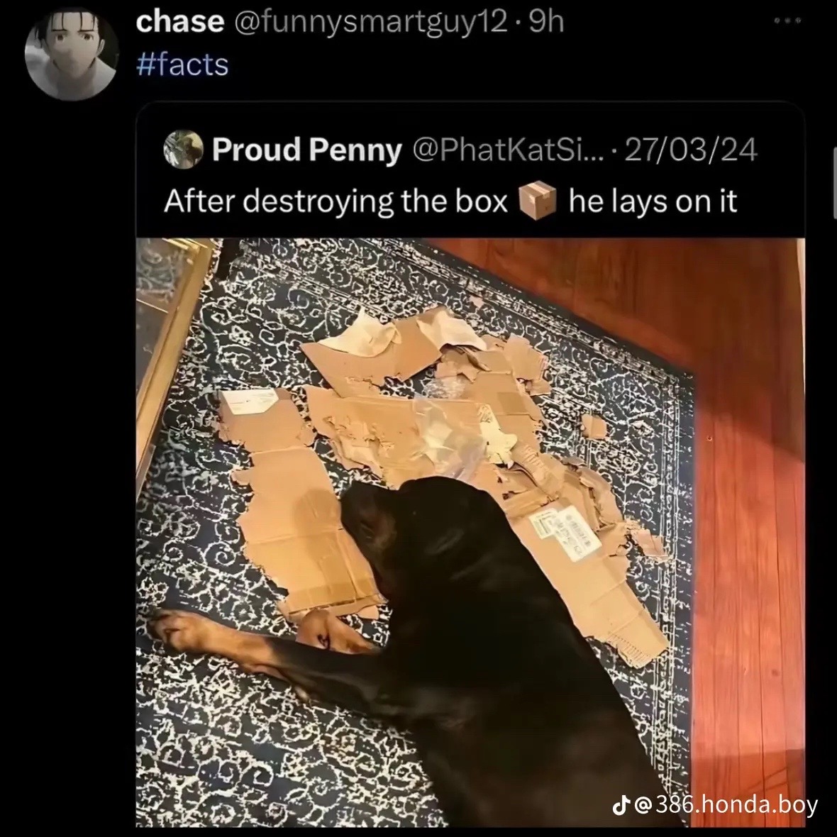 @I’m_a_mutt