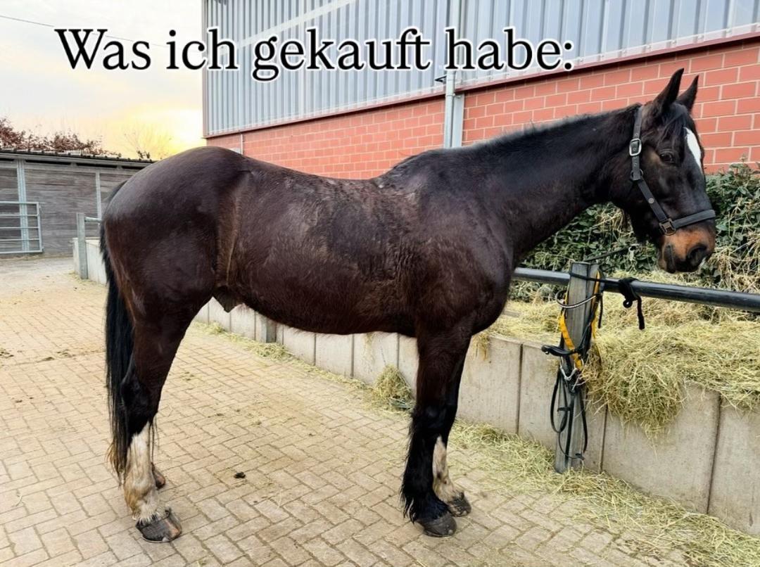 @Fabienne