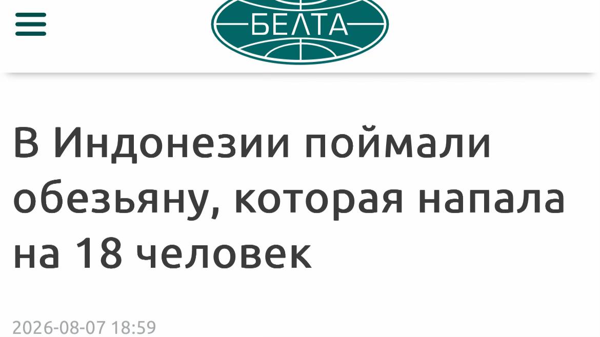 @🩸ПРОСТО ЖУК🩸