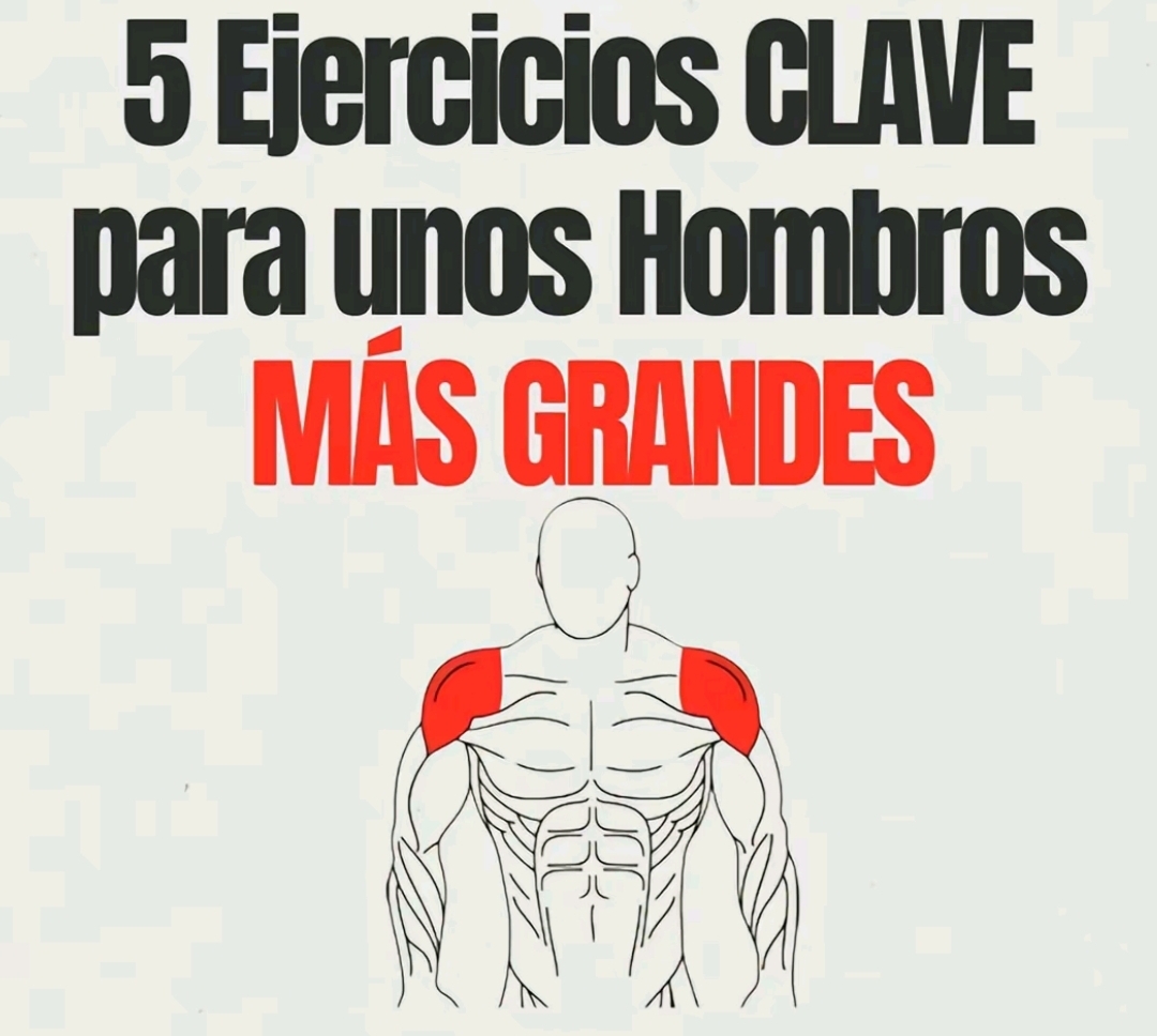 @Maximilianopaez