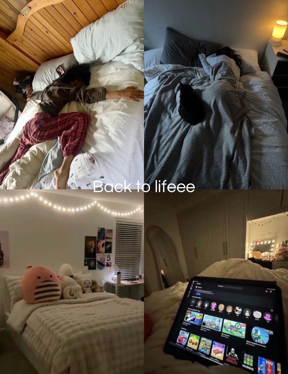 @filter67.7