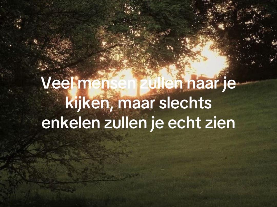 @Velvetmusescomet