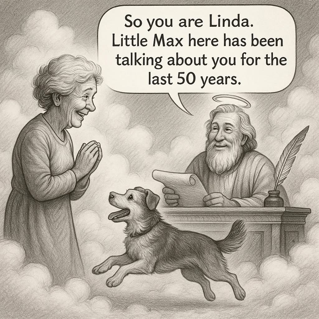 @dina zanni