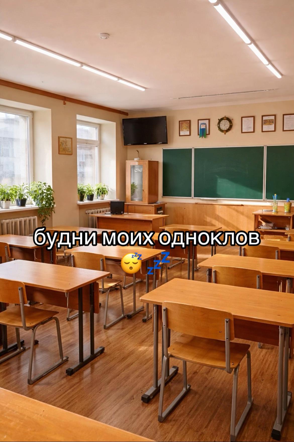 @zxc_alina