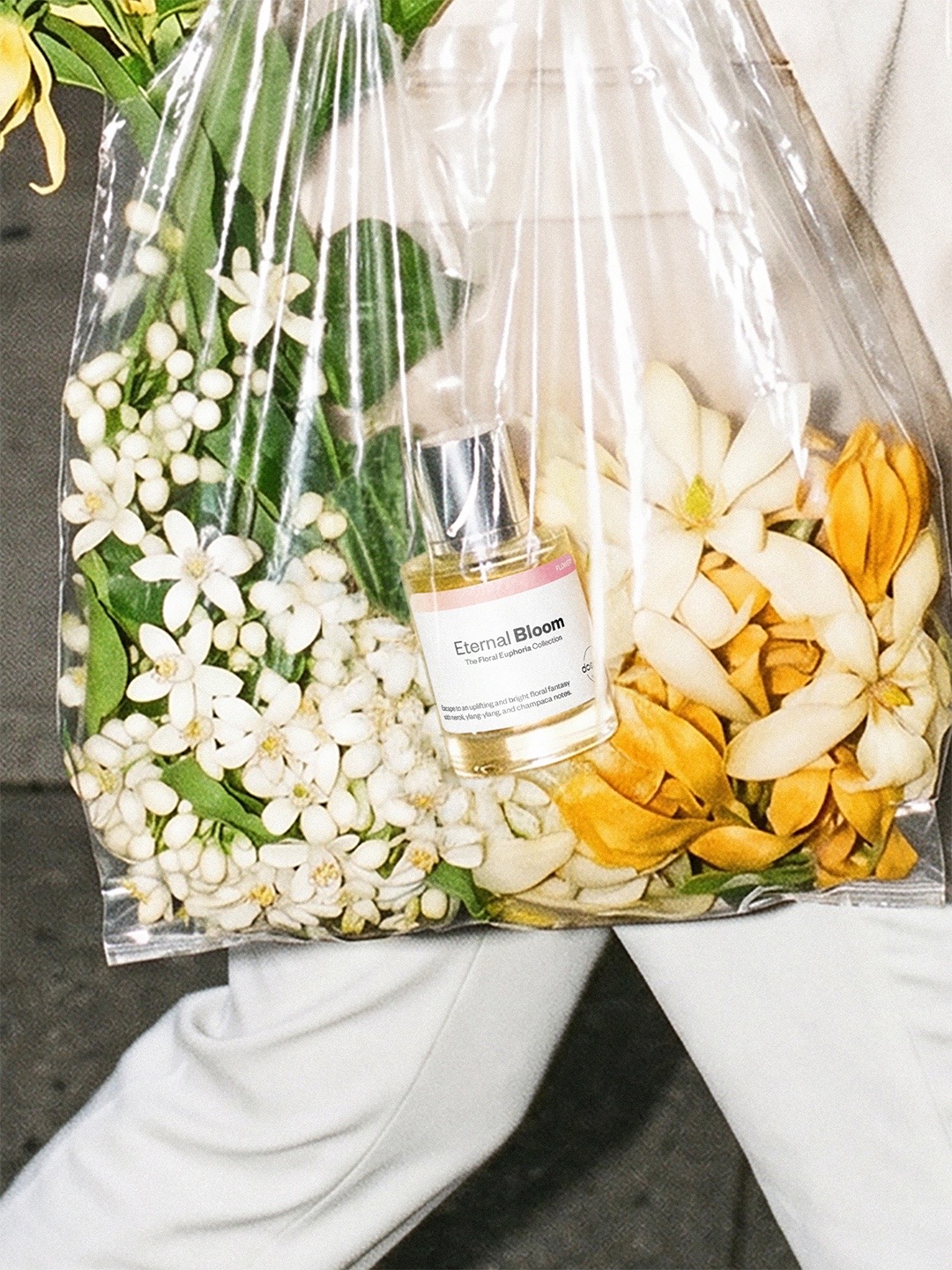 @Dossier Perfume