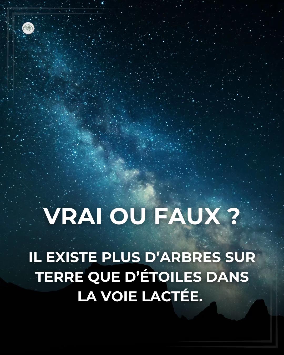 @L&rsquo;arbre du savoir 🌳