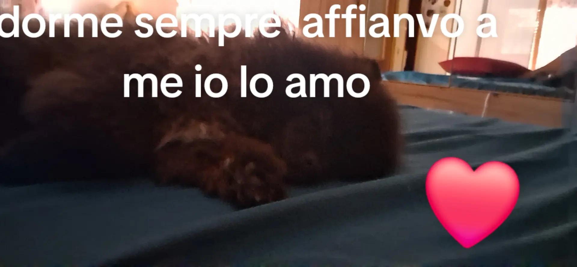 @Assuntacastellano1