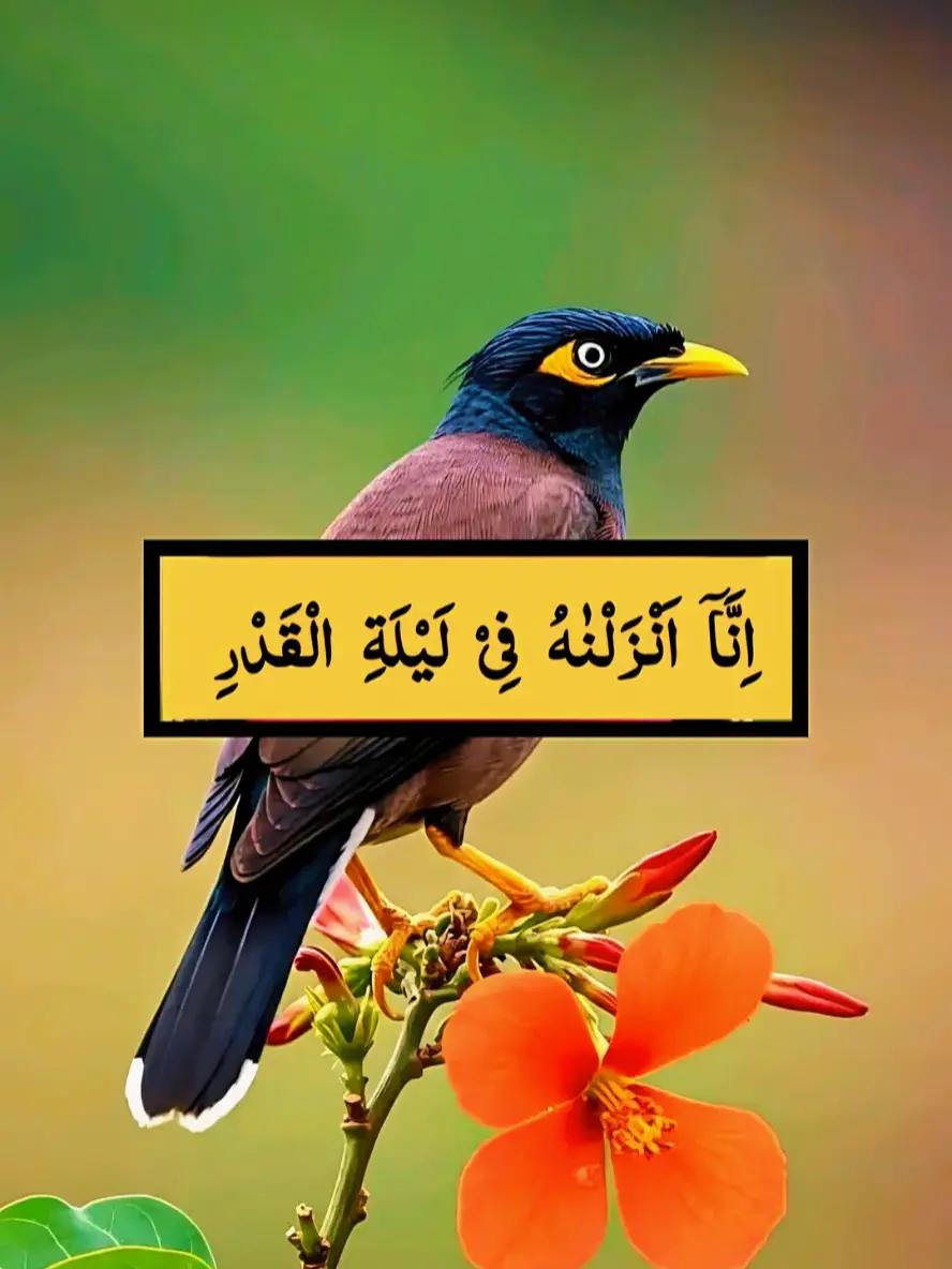 @@islamicvideotiktok341
