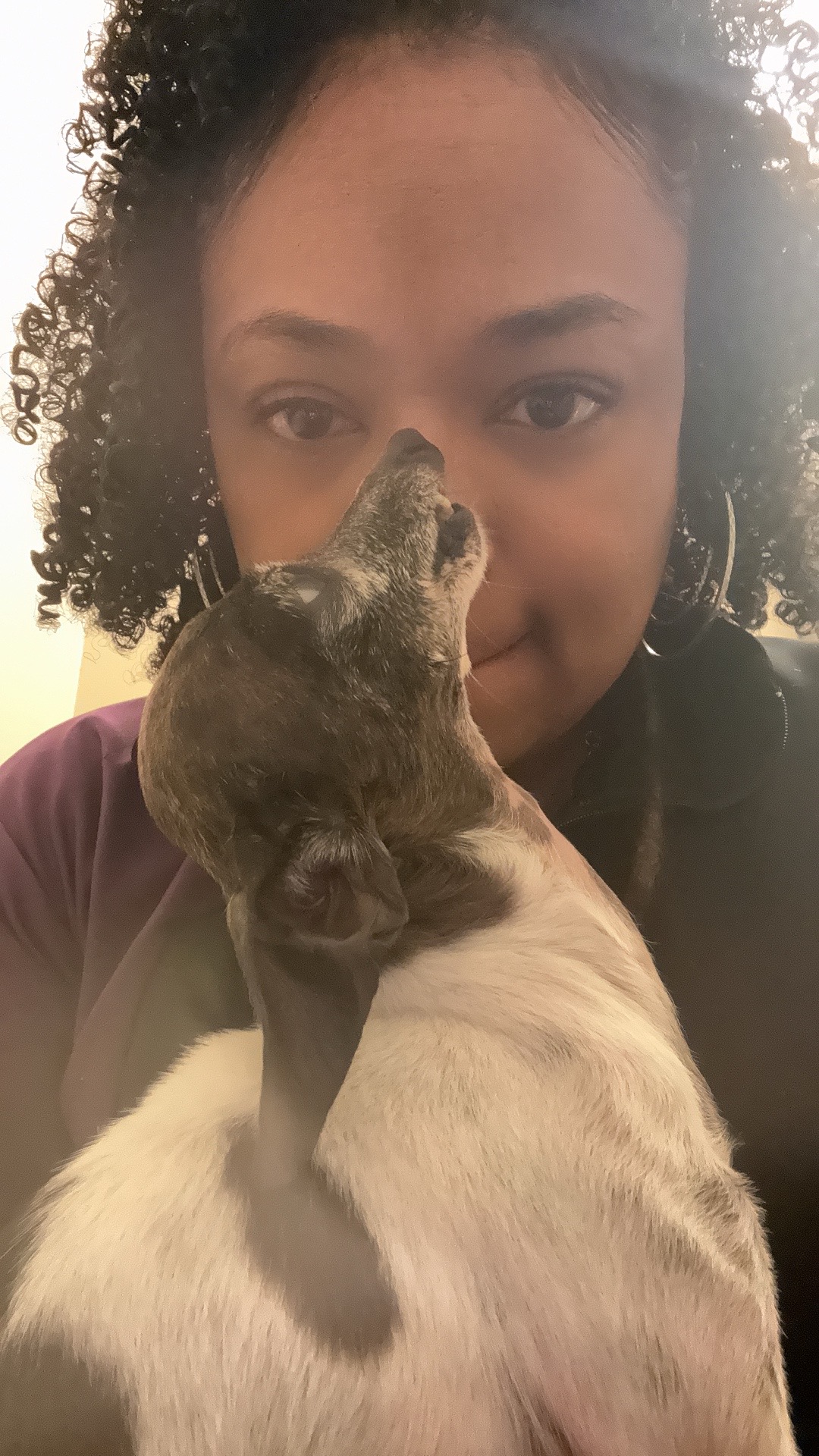 @fusionpetstylez