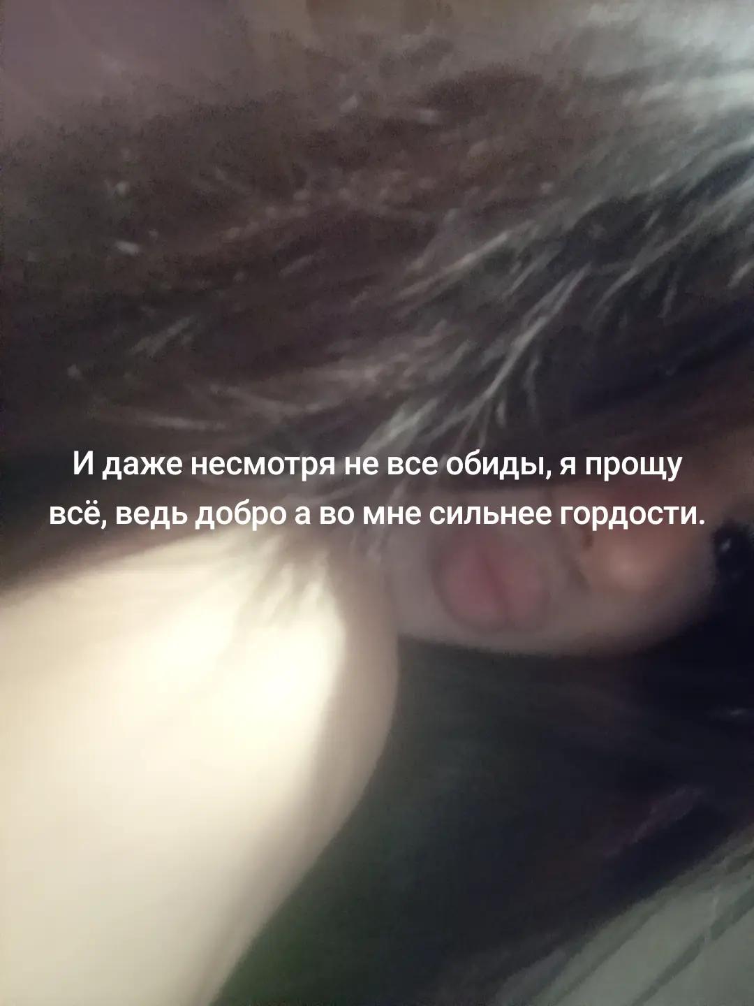 @кот