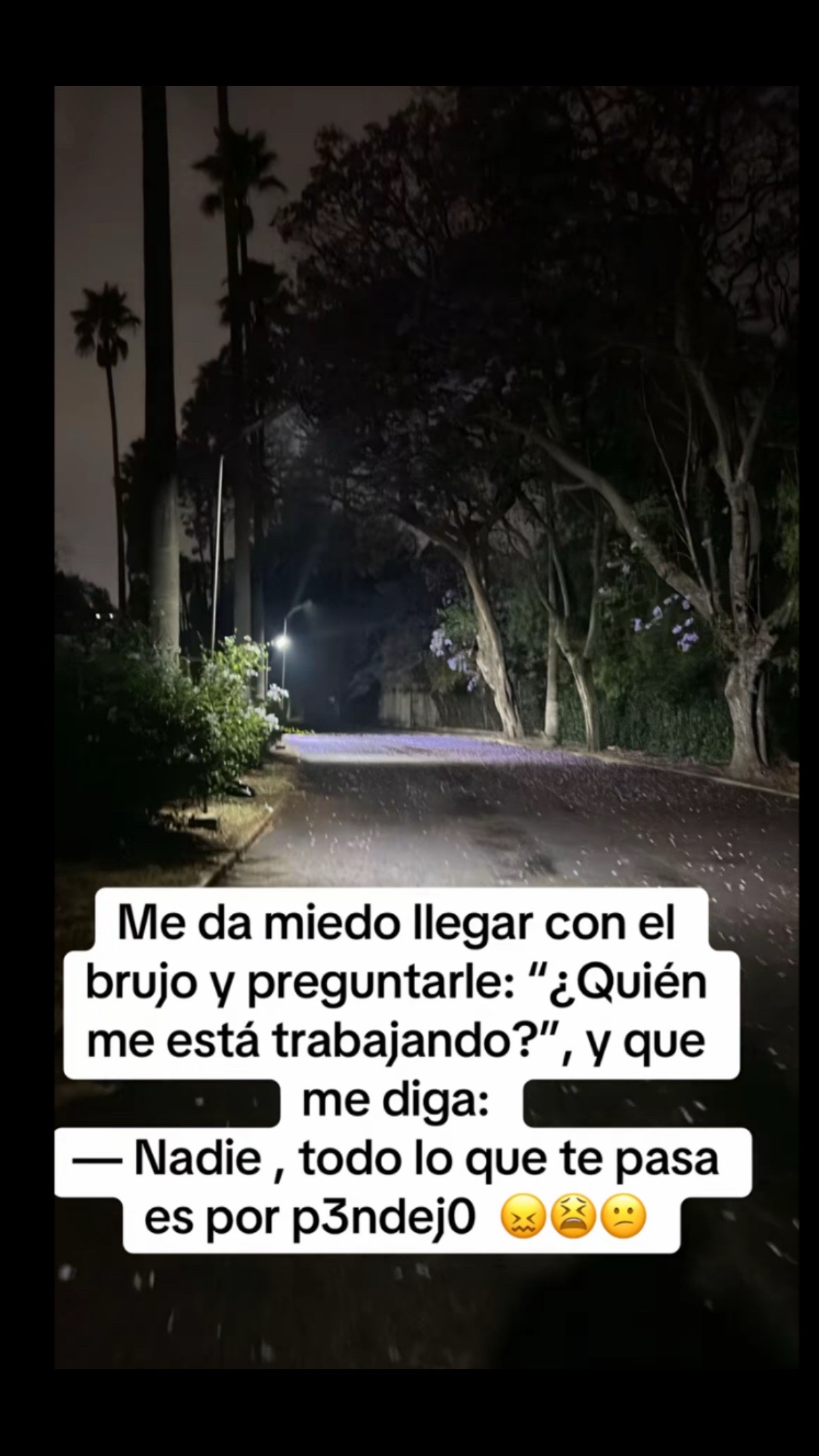 @Pedro Cruz