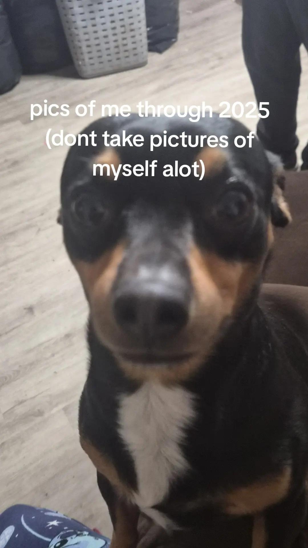 @kengi 🐶