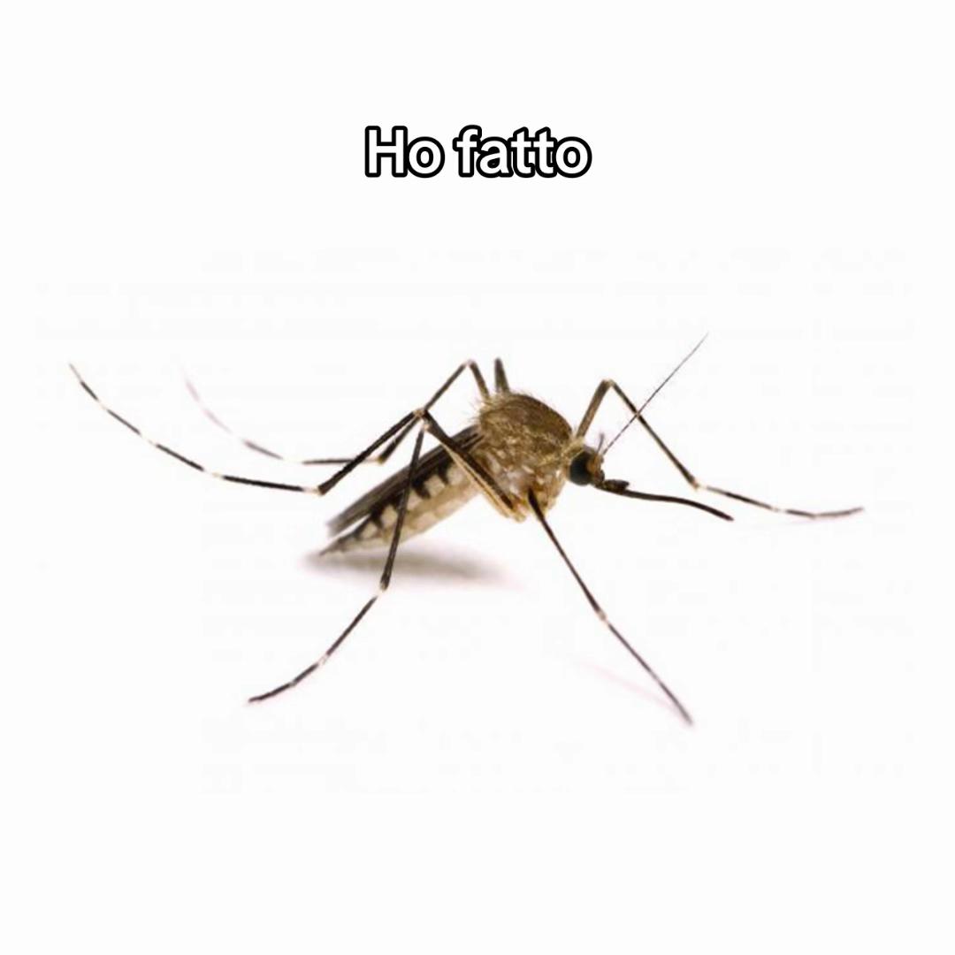@valllllls