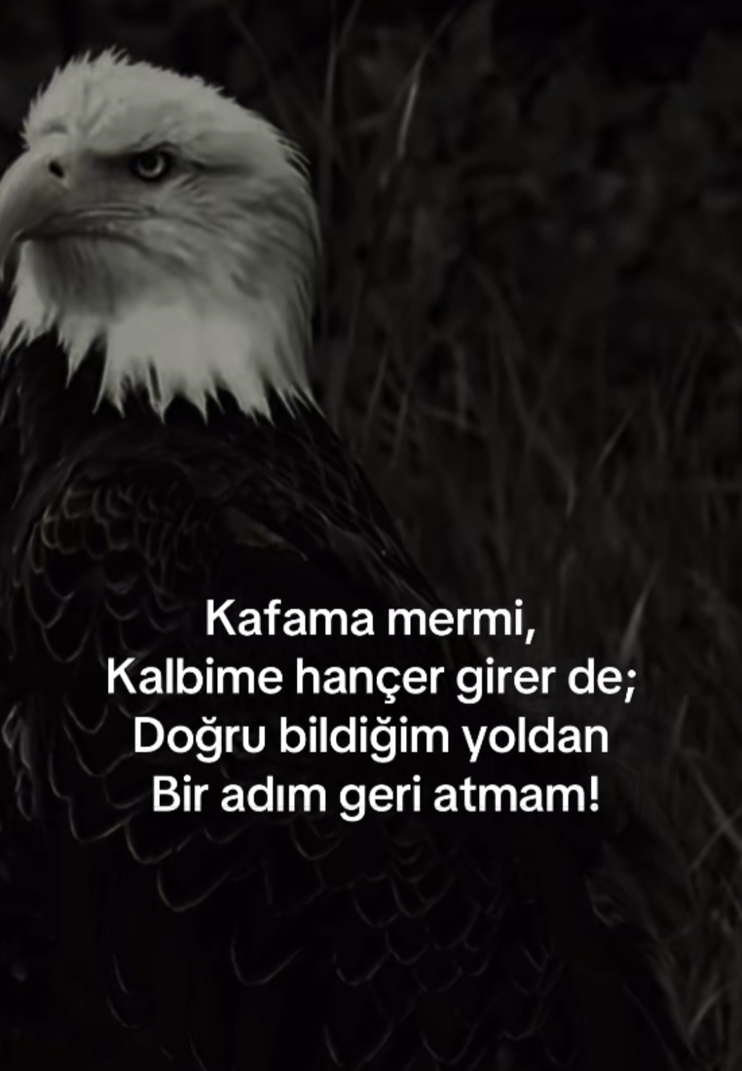 @horozcu_31