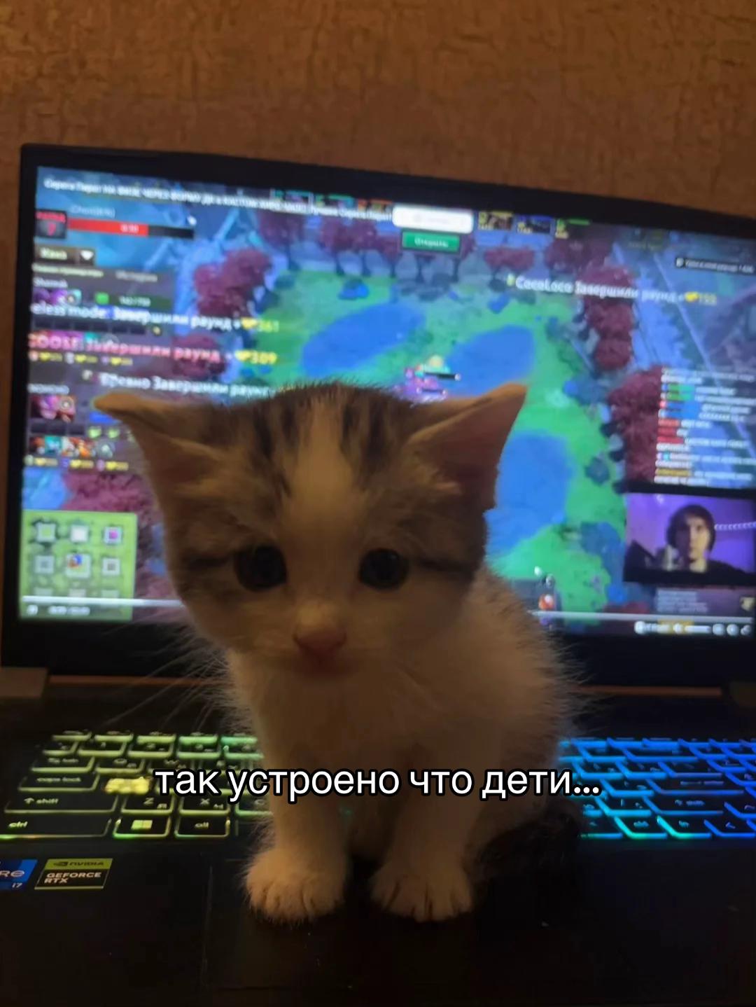 @Ася Апельсин