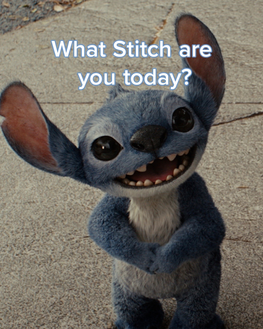 @Disney Studios