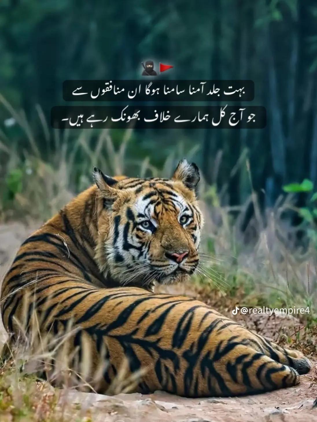 @Sheikh Sher Baadshah