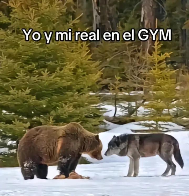 @fitness🔱