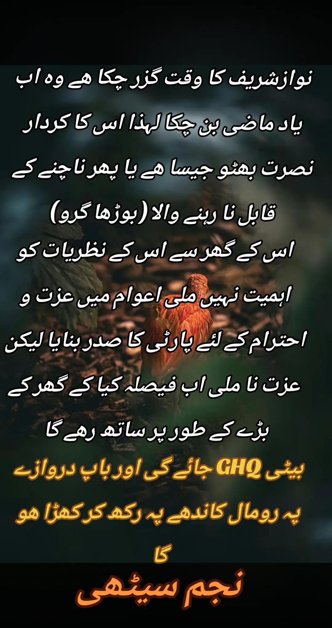 @اڈیالہ 804