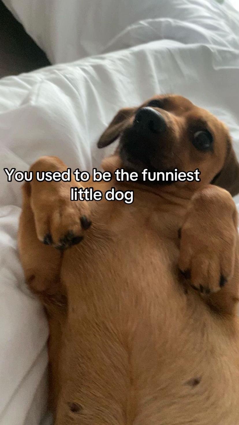 @Jimbob &bull; Friends