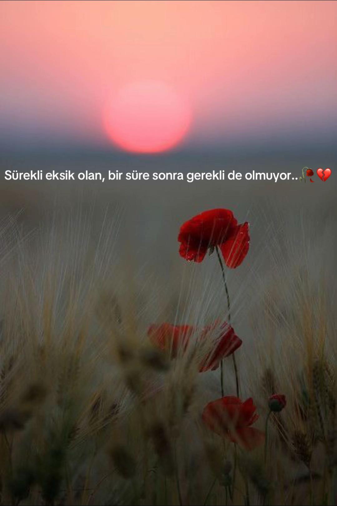 @ruh_tamiri  🍃🌹