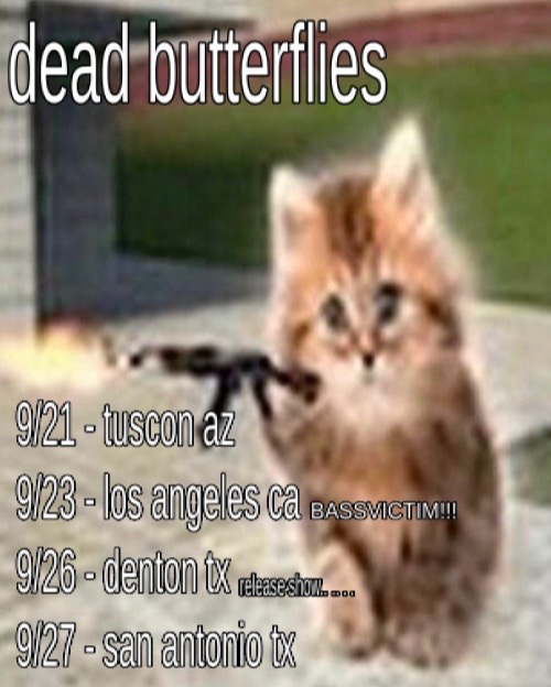@deadbutterfliesband