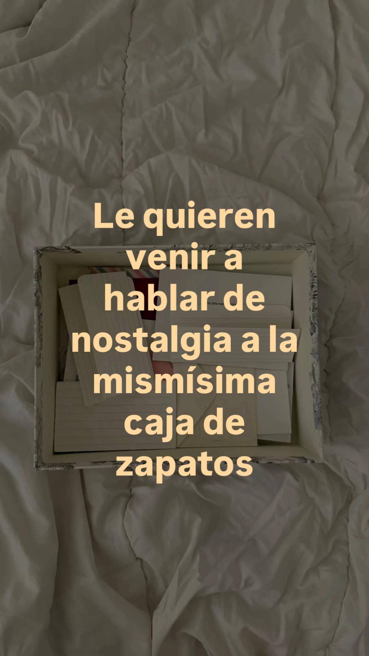 @Ludmila Torrisi