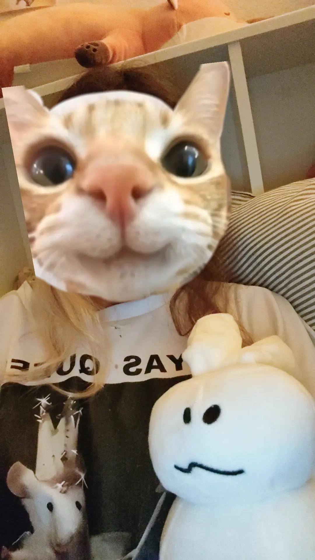 @🤍GubbyFan🤍