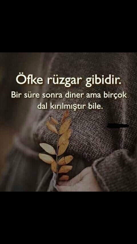 @Emin Alan